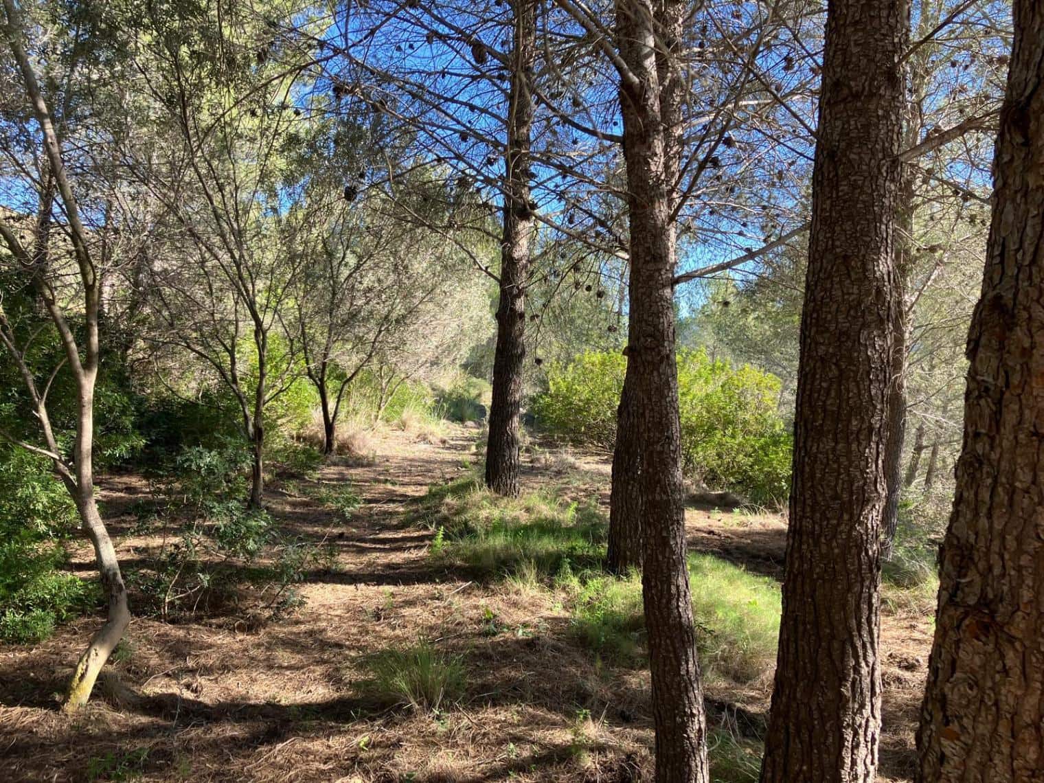 Finca/Hus på landet till salu i Pedreguer - 150 000 € (Ref: 8840049)