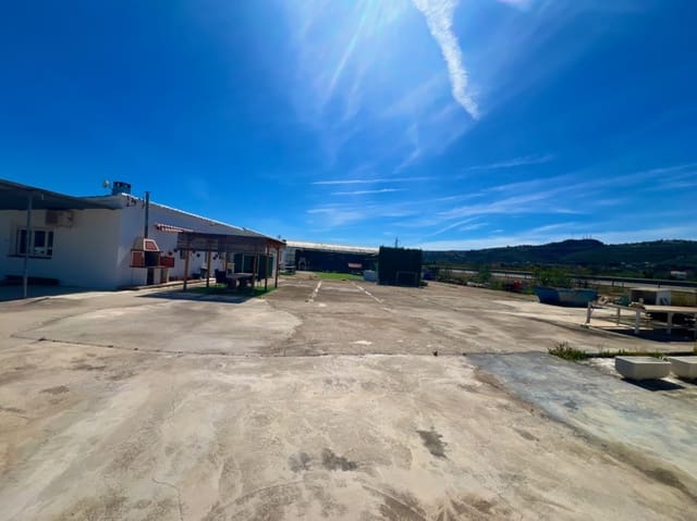 Commercieel te huur in Pedreguer met garage - € 5.000 (Ref: 8913665)