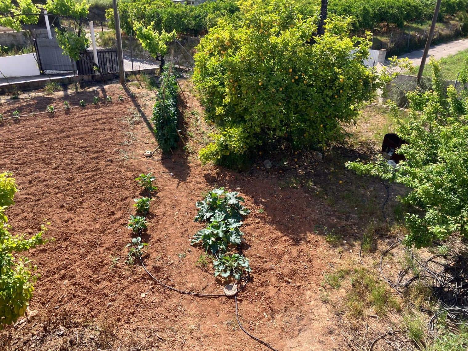 3 bedroom Finca/Country House for rent in Pedreguer with garage - € 1,300 (Ref: 8989946)