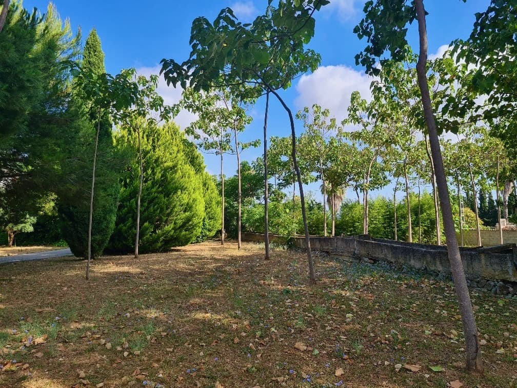 3 bedroom Finca/Country House for sale in Pedreguer with garage - € 600,000 (Ref: 9016244)