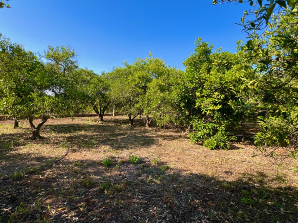 4 soveværelse Finca/Landehus til salg i Pedreguer med garage - € 345.000 (Ref: 9033726)