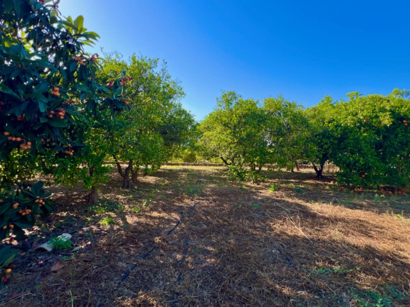 4 soveværelse Finca/Landehus til salg i Pedreguer med garage - € 345.000 (Ref: 9033726)