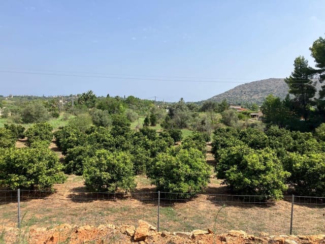 Finca/Country House for sale in Pedreguer - € 225,000 (Ref: 9175568)