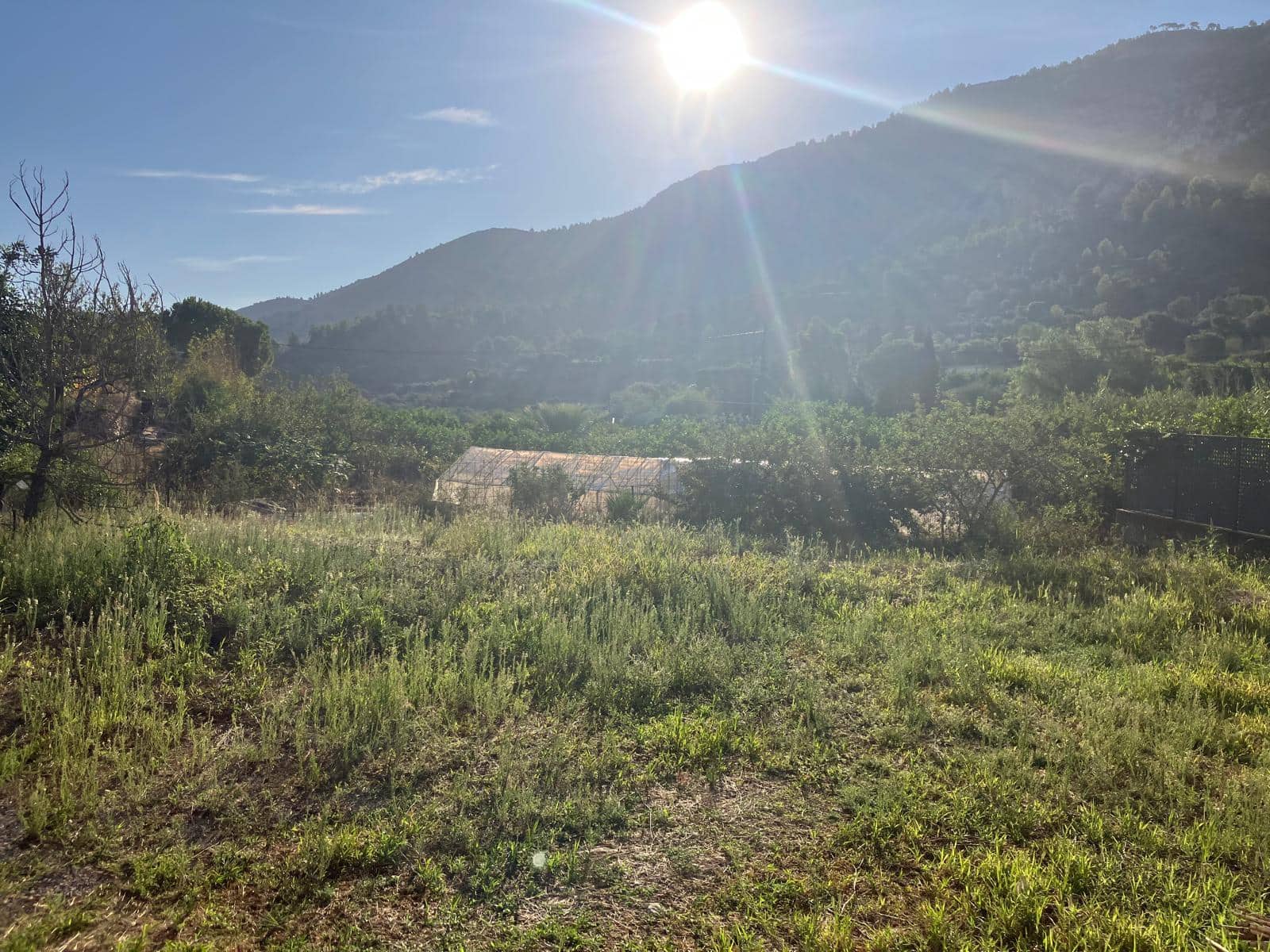 Byggegrund til salg i Llosa de Camacho - € 110.000 (Ref: 9273205)