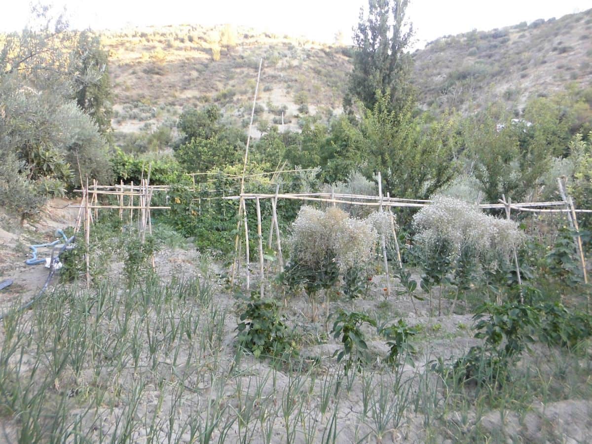 5 Zimmer Finca/Landgut zu verkaufen in Quesada mit Garage - 225.000 € (Ref: 9462737)