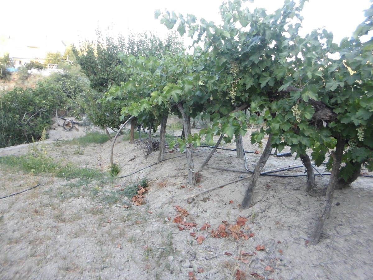 5 Zimmer Finca/Landgut zu verkaufen in Quesada mit Garage - 225.000 € (Ref: 9462737)