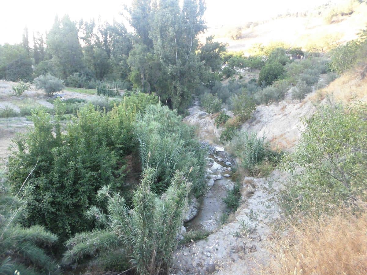 5 Zimmer Finca/Landgut zu verkaufen in Quesada mit Garage - 225.000 € (Ref: 9462737)