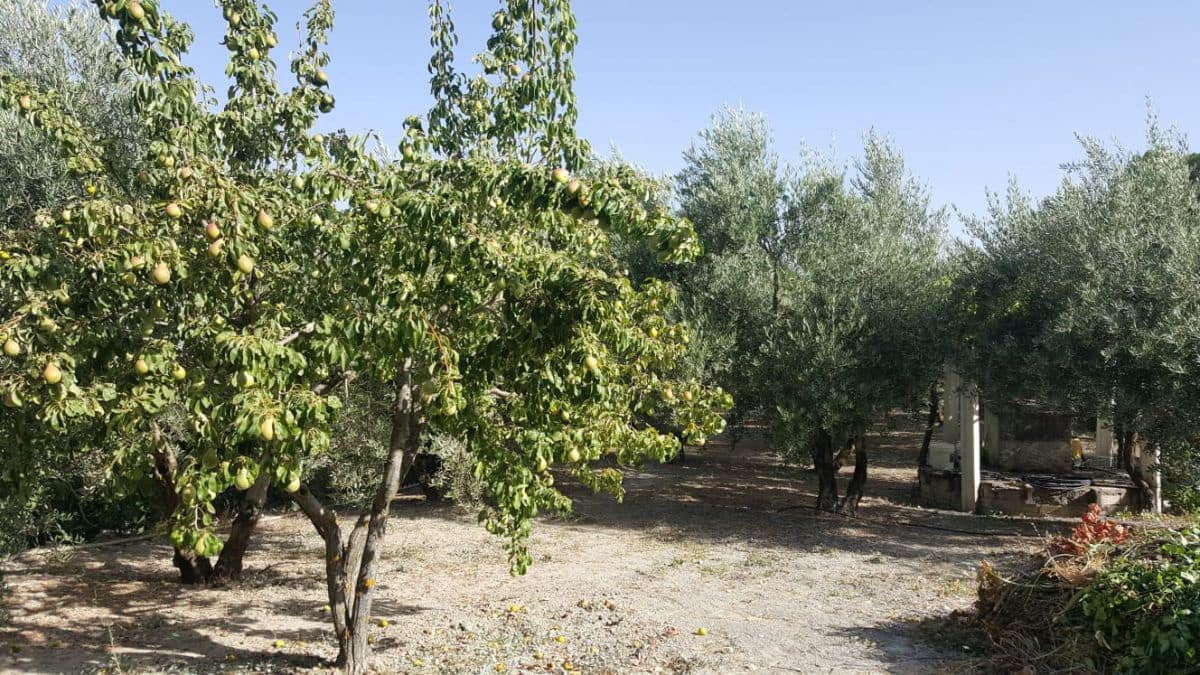 3 Zimmer Finca/Landgut zu verkaufen in Quesada mit Garage - 120.000 € (Ref: 9462740)