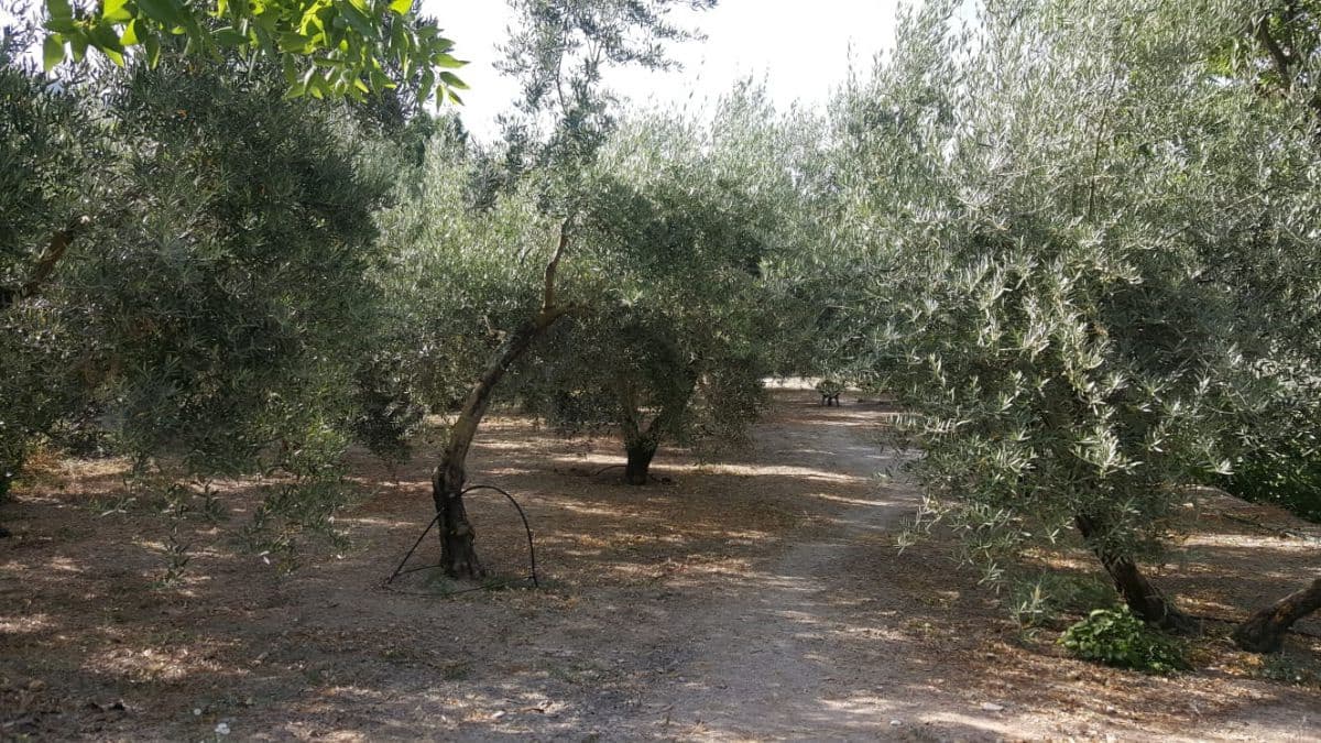 3 Zimmer Finca/Landgut zu verkaufen in Quesada mit Garage - 120.000 € (Ref: 9462740)