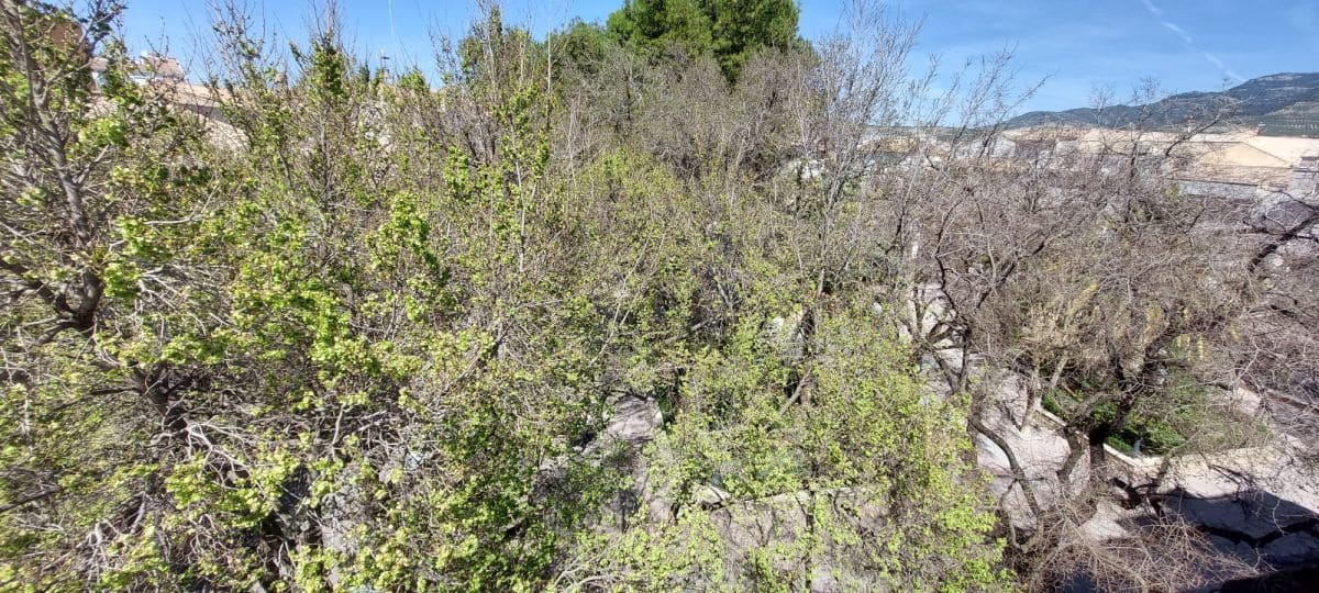 5 soveværelse Byhus til salg i Quesada - € 120.000 (Ref: 9462747)