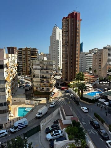1 bedroom Flat for rent in Juzgados - Plaza de Toros, Benidorm with pool garage - € 850 (Ref: 10030913)