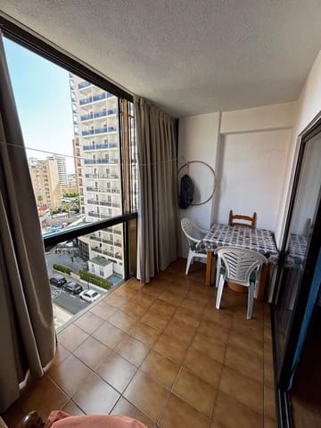 1 bedroom Flat for rent in Juzgados - Plaza de Toros, Benidorm with pool garage - € 850 (Ref: 10030913)