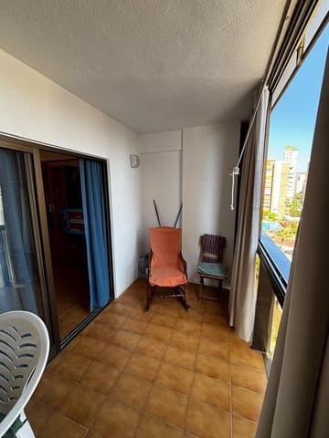 1 bedroom Flat for rent in Juzgados - Plaza de Toros, Benidorm with pool garage - € 850 (Ref: 10030913)