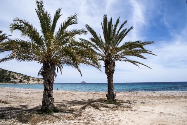 Piso de 1 habitación en La Villajoyosa / Vila Joiosa en venta - 298.000 € (Ref: 4352556)