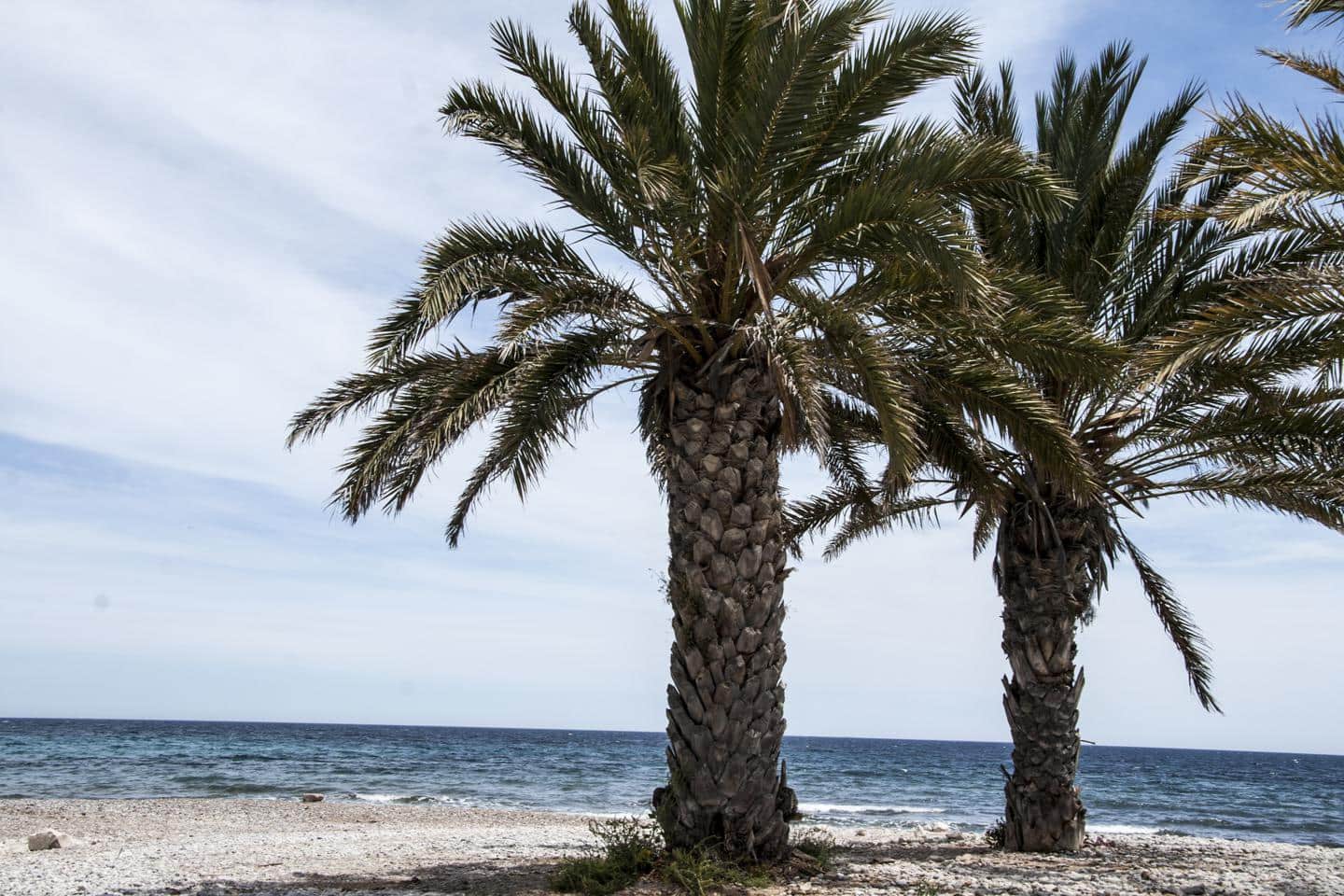 Piso de 1 habitación en La Villajoyosa / Vila Joiosa en venta - 298.000 € (Ref: 4352556)