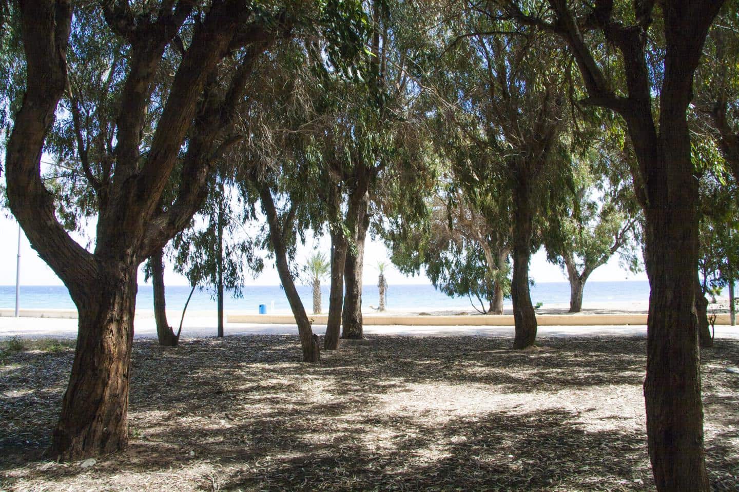 Piso de 1 habitación en La Villajoyosa / Vila Joiosa en venta - 298.000 € (Ref: 4352556)