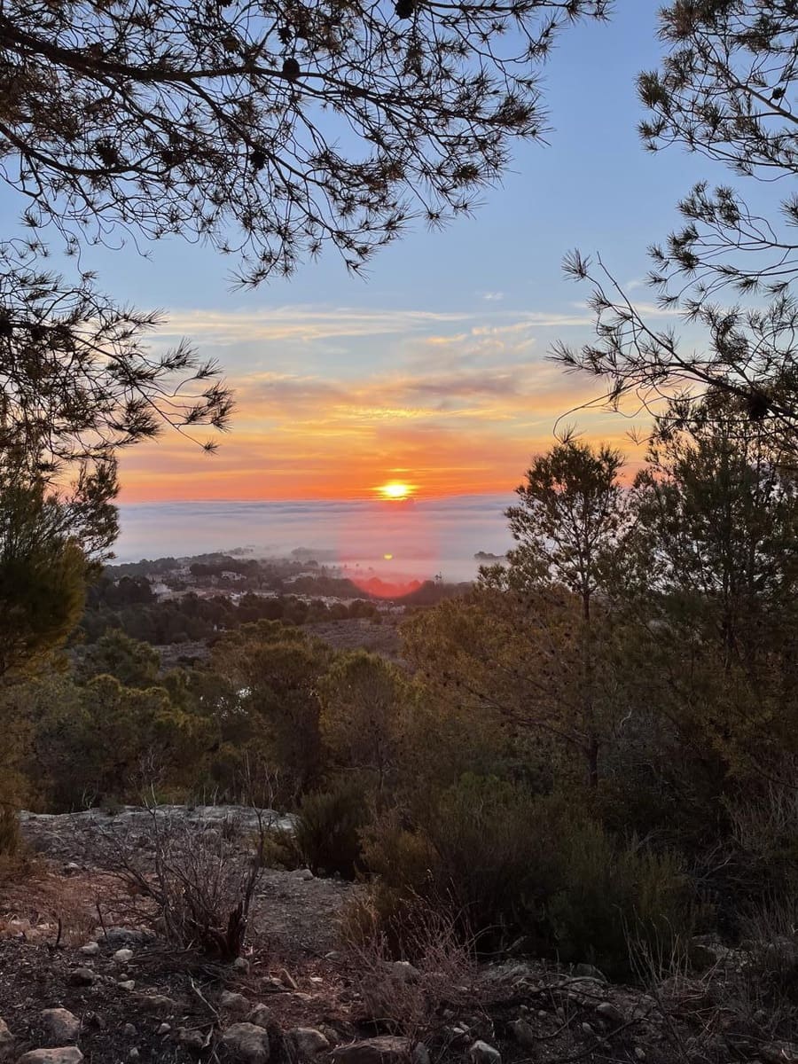 5 soveværelse Villa til salg i Alfaz del Pi / L'Alfas del Pi med swimmingpool garage - € 1.750.000 (Ref: 8848124)