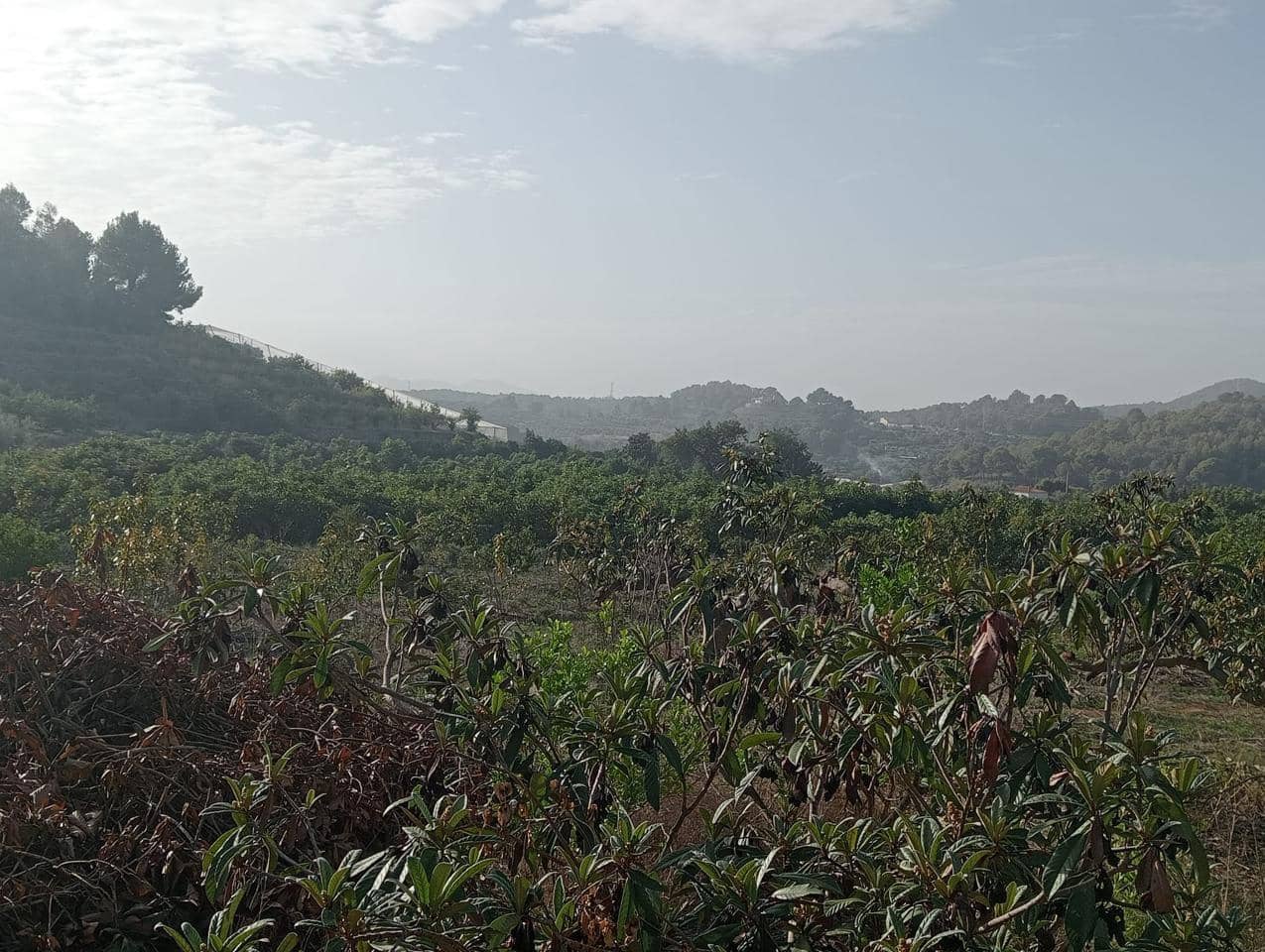 Grunde uden byggetilladelser til salg i Callosa d'En Sarria - € 180.000 (Ref: 9142213)