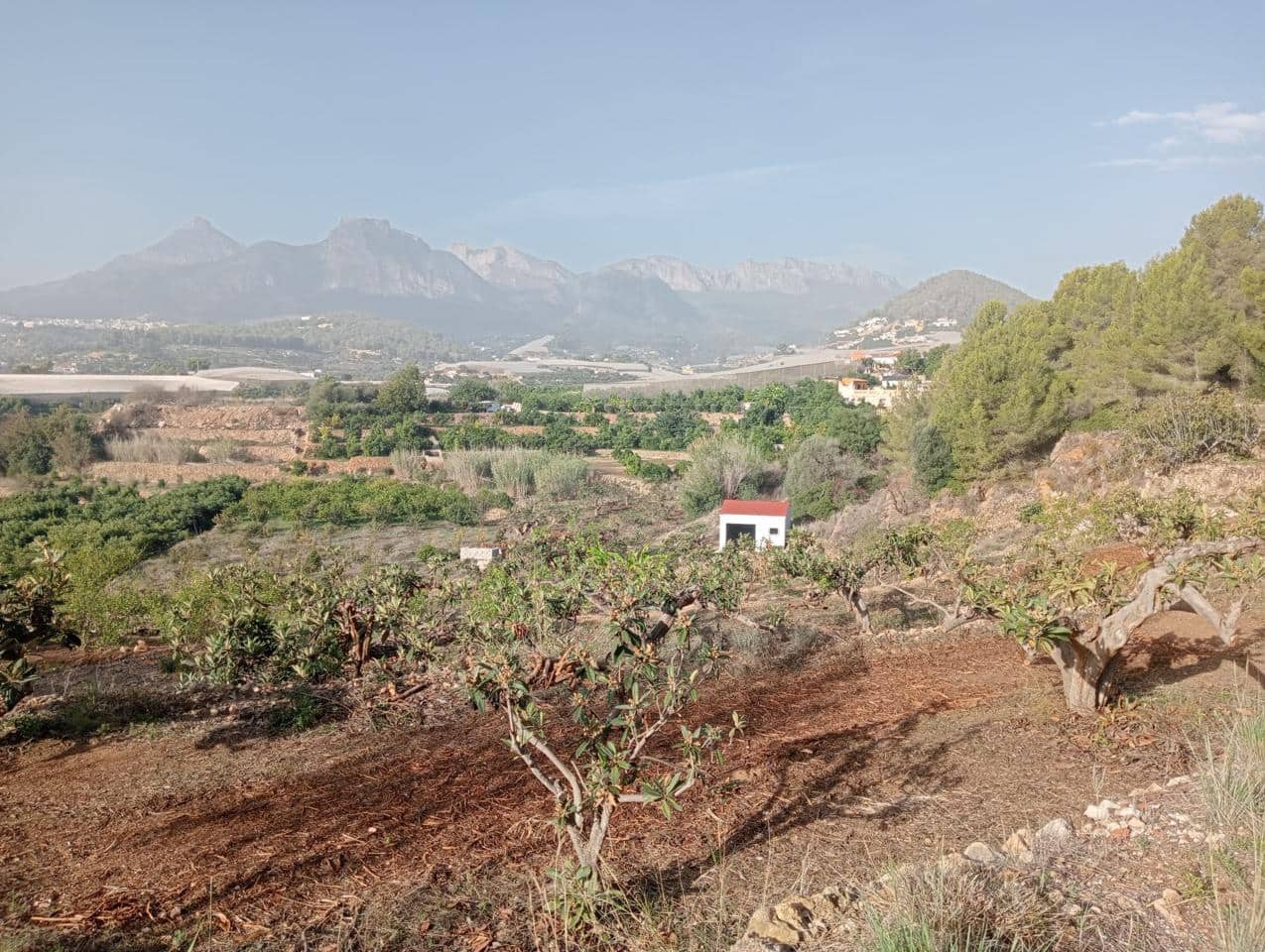 Grunde uden byggetilladelser til salg i Callosa d'En Sarria - € 180.000 (Ref: 9142213)