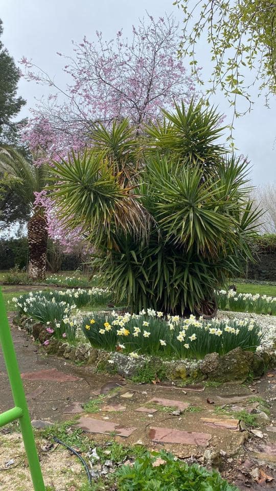 5 camera da letto Villa in vendita in Malagon con garage - 750.000 € (Rif: 9544491)