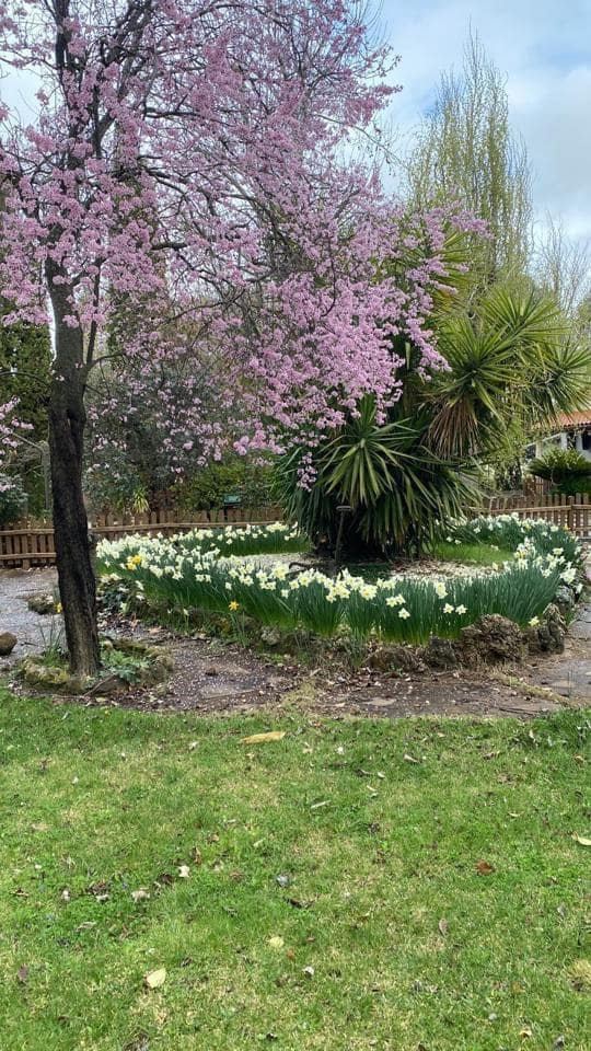 5 camera da letto Villa in vendita in Malagon con garage - 750.000 € (Rif: 9544491)