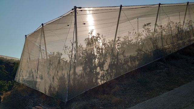 Teren niezagospodarowany na sprzedaż w Callosa d'En Sarrià - 80 000 € (Ref: 10044423)