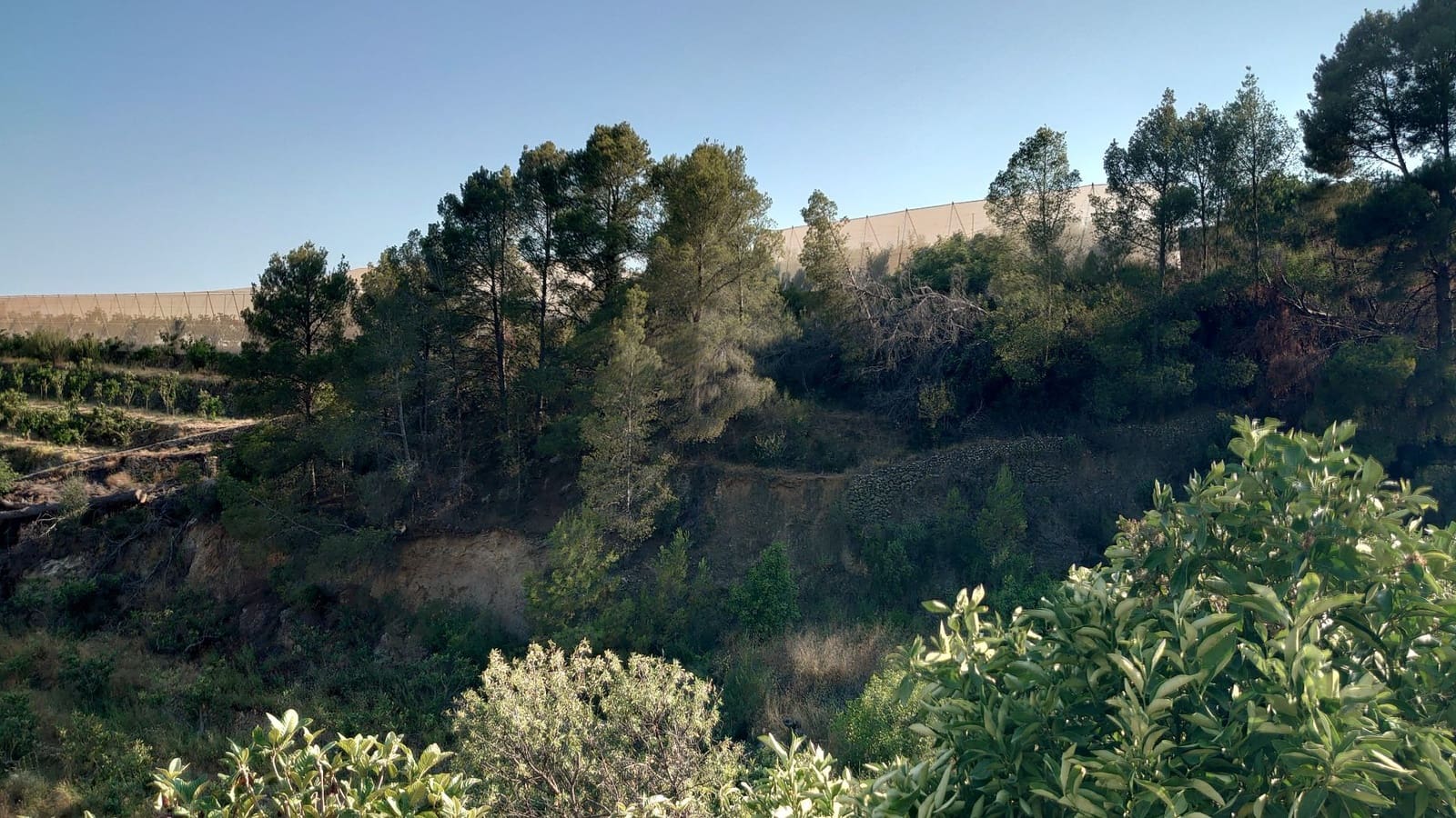 Teren niezagospodarowany na sprzedaż w Callosa d'En Sarria - 80 000 € (Ref: 10044423)