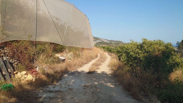 Teren niezagospodarowany na sprzedaż w Callosa d'En Sarrià - 80 000 € (Ref: 10044423)