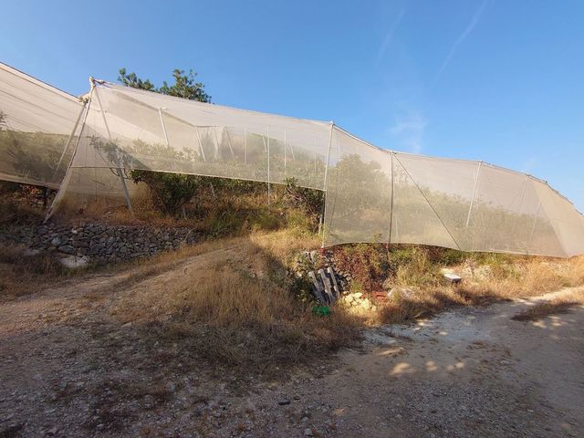 Teren niezagospodarowany na sprzedaż w Callosa d'En Sarrià - 80 000 € (Ref: 10044423)