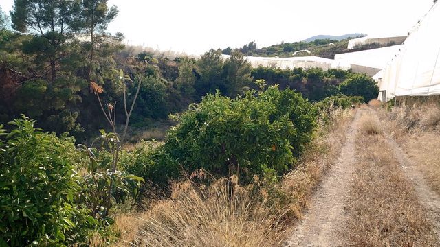 Teren niezagospodarowany na sprzedaż w Callosa d'En Sarrià - 80 000 € (Ref: 10044423)