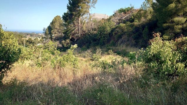 Teren niezagospodarowany na sprzedaż w Callosa d'En Sarrià - 80 000 € (Ref: 10044423)