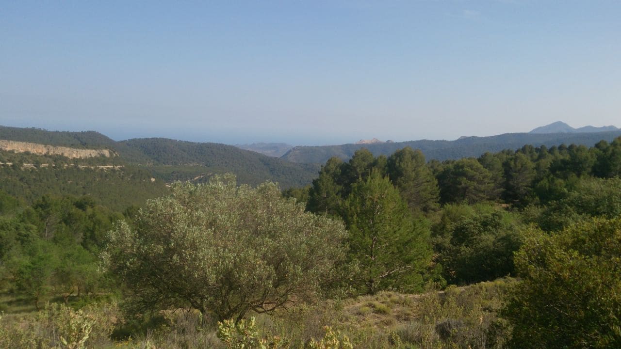 4 soveværelse Finca/Landehus til salg i Penaguila - € 315.000 (Ref: 3099593)