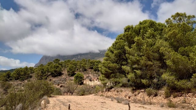 Grond te koop in Finestrat Pueblo, Finestrat - € 100.000 (Ref: 3099686)