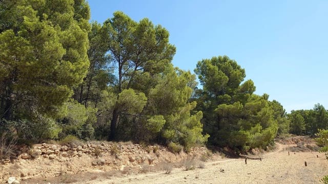 Grond te koop in Finestrat Pueblo, Finestrat - € 100.000 (Ref: 3099686)