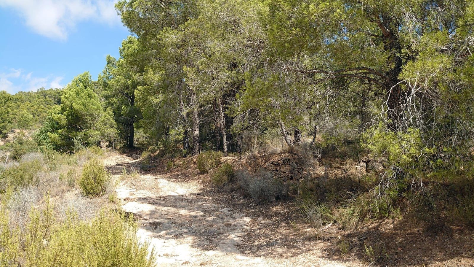 Terre non Aménagée à vendre à Finestrat - 100 000 € (Ref: 3099686)