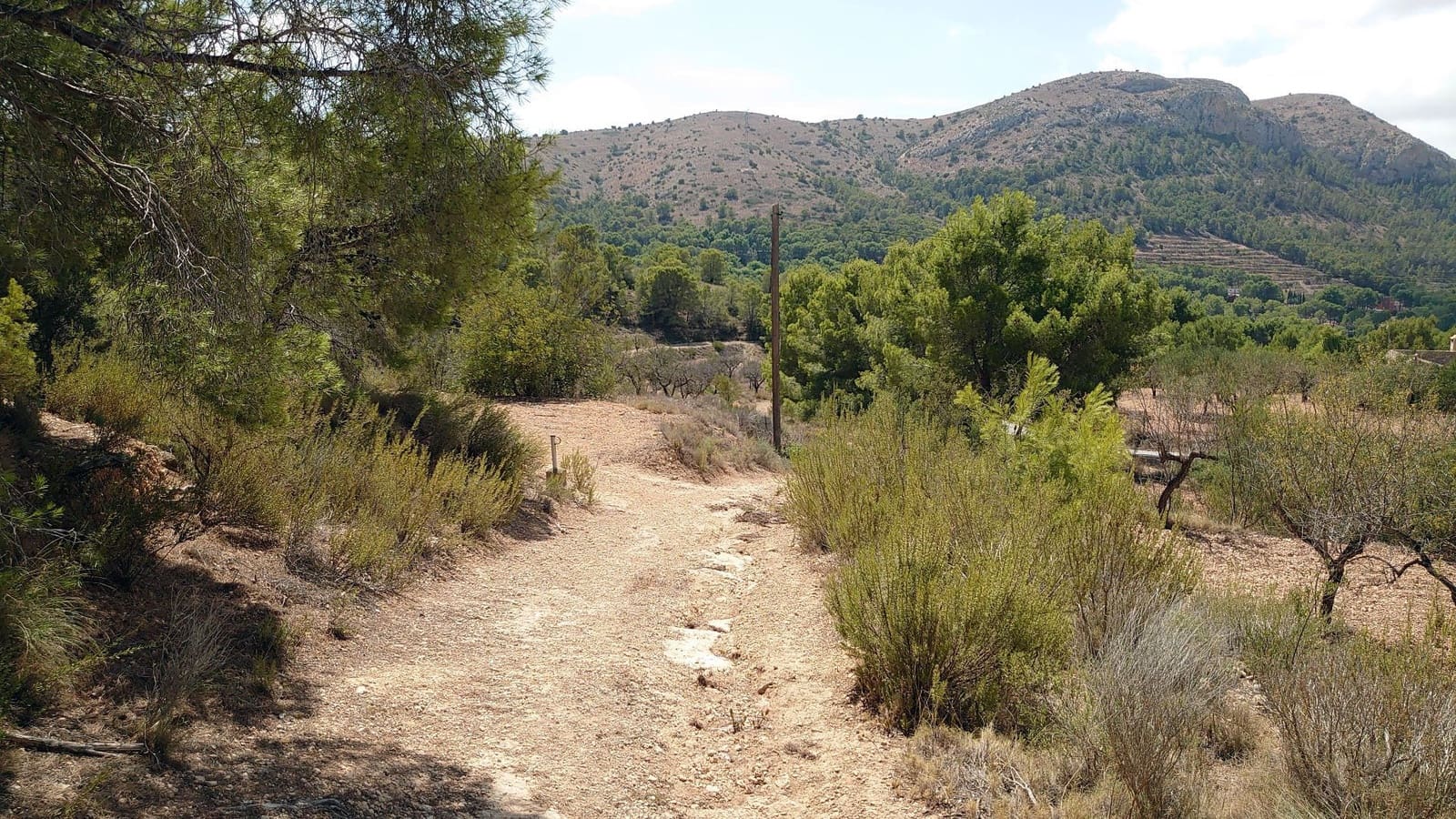 Terre non Aménagée à vendre à Finestrat - 100 000 € (Ref: 3099686)