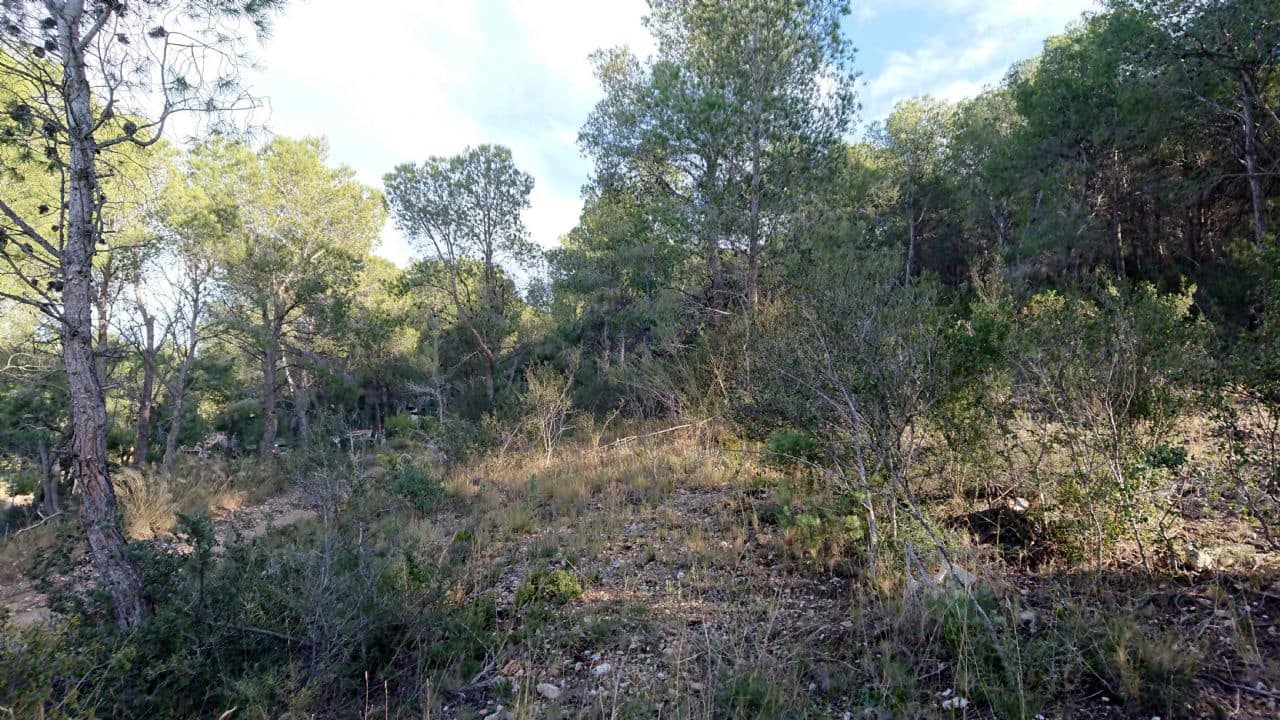 Terreno Non Edificato in vendita in Finestrat - 145.000 € (Rif: 3799534)