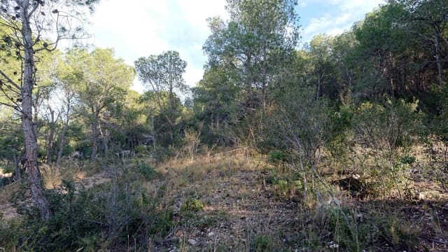 Terreno Non Edificato in vendita in Finestrat Pueblo, Finestrat - 145.000 € (Rif: 3799534)