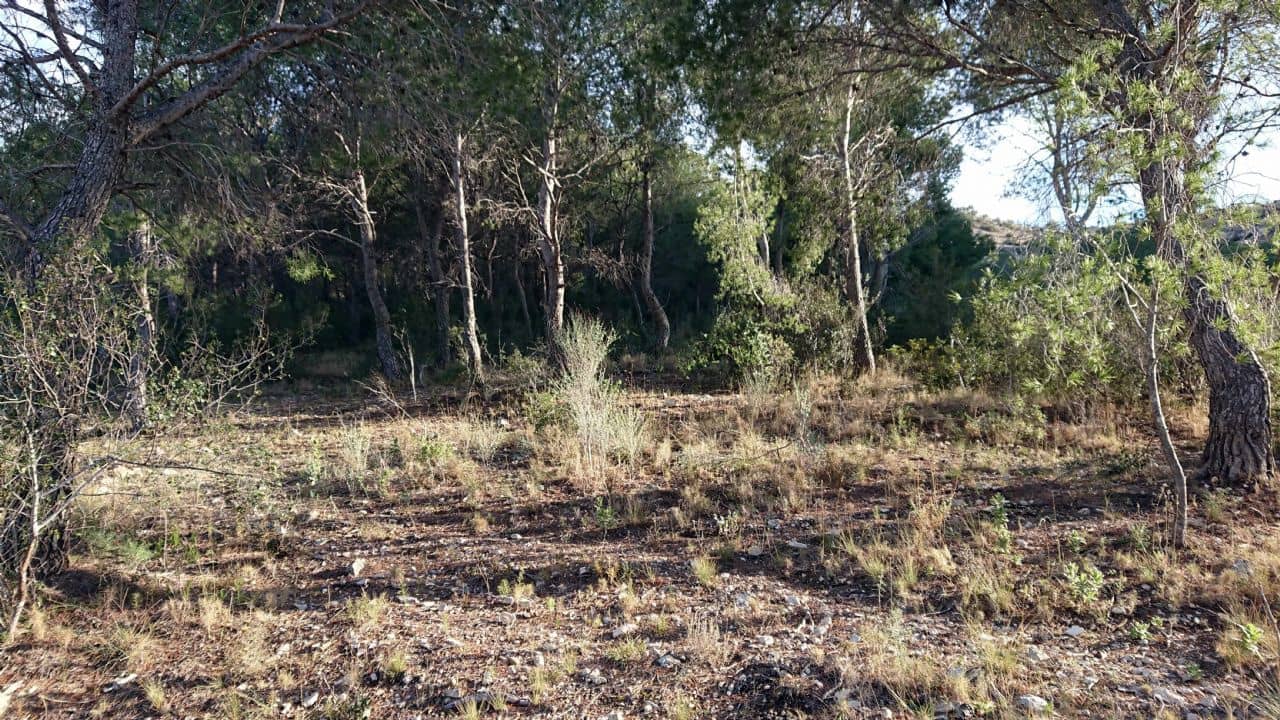Terreno Non Edificato in vendita in Finestrat - 145.000 € (Rif: 3799534)