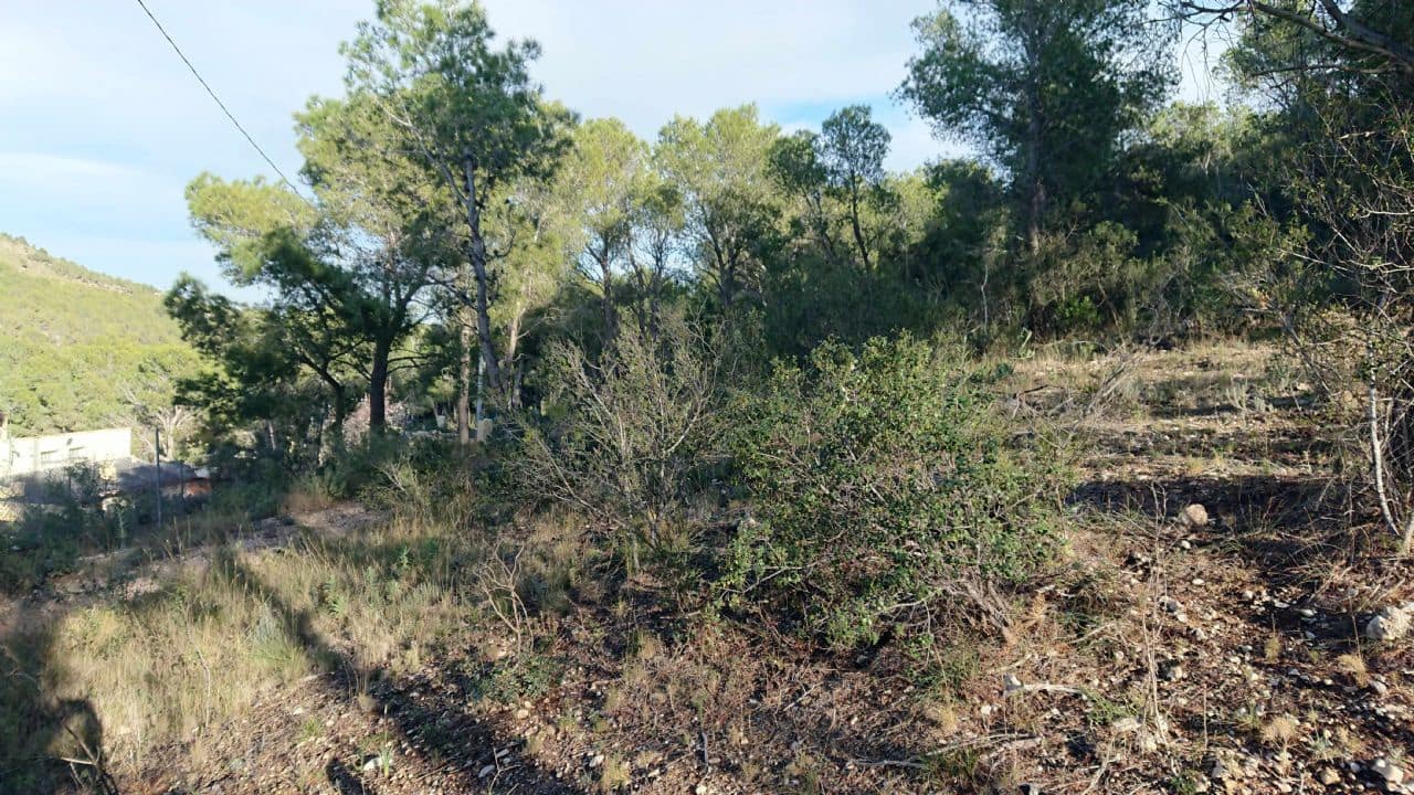 Terreno Non Edificato in vendita in Finestrat - 145.000 € (Rif: 3799534)