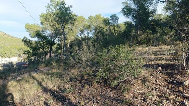 Terreno Non Edificato in vendita in Finestrat Pueblo, Finestrat - 145.000 € (Rif: 3799534)