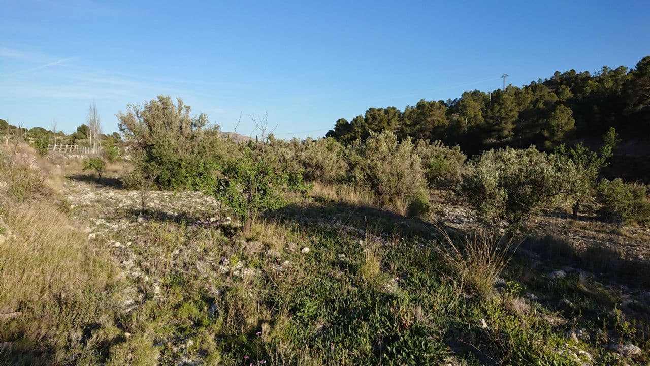 Grunde uden byggetilladelser til salg i Finestrat - € 95.000 (Ref: 3812483)