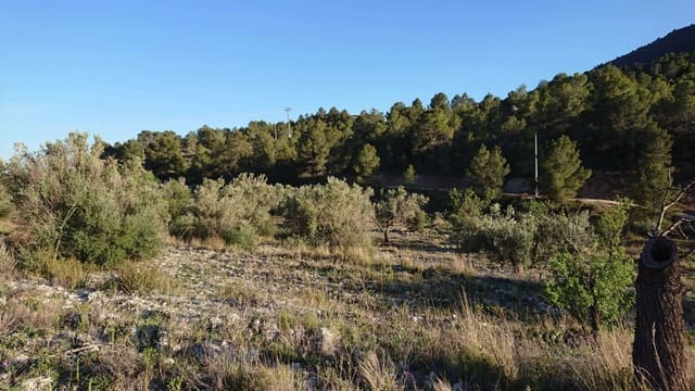 Undeveloped Land for sale in Finestrat Pueblo, Finestrat - € 95,000 (Ref: 3812483)