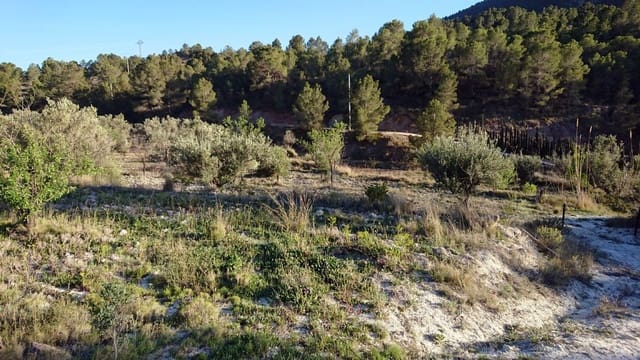 Undeveloped Land for sale in Finestrat Pueblo, Finestrat - € 95,000 (Ref: 3812483)