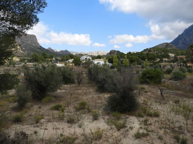 Undeveloped Land for sale in Finestrat Pueblo, Finestrat - € 95,000 (Ref: 3812483)