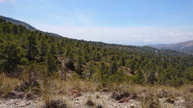 Grunde uden byggetilladelser til salg i Finestrat Pueblo, Finestrat - € 99.000 (Ref: 3988209)