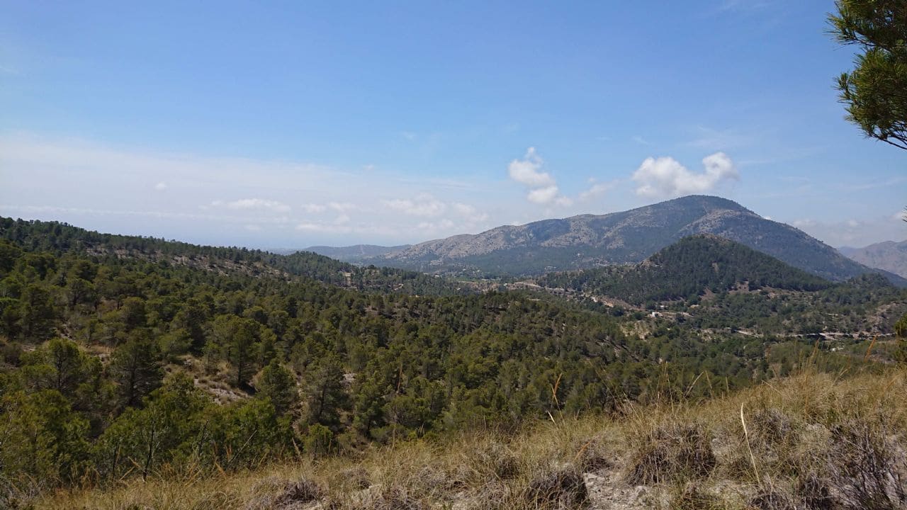 Teren niezagospodarowany na sprzedaż w Finestrat - 99 000 € (Ref: 3988209)