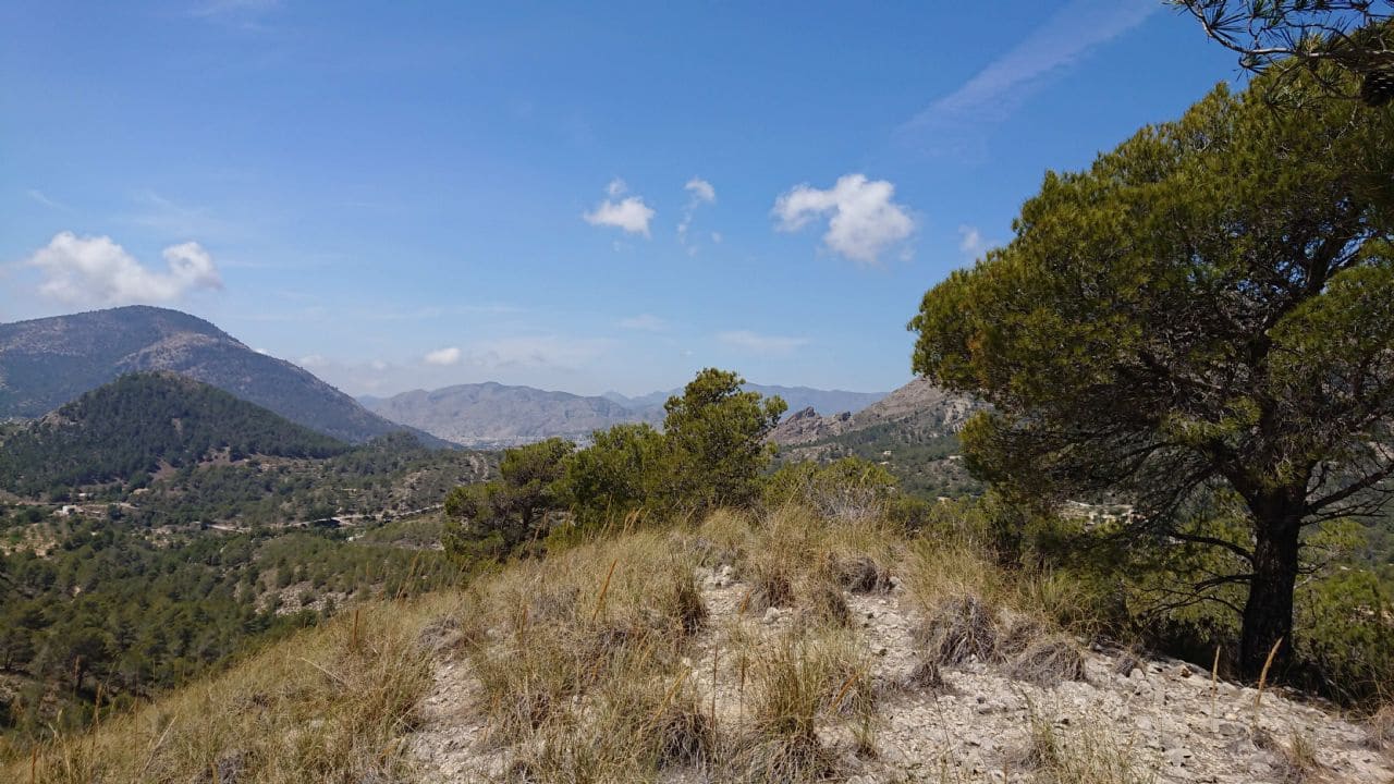 Teren niezagospodarowany na sprzedaż w Finestrat - 99 000 € (Ref: 3988209)