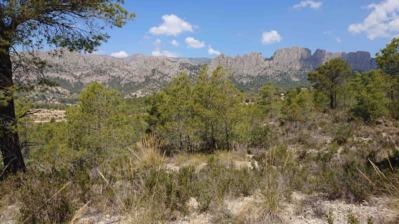 Teren niezagospodarowany na sprzedaż w Finestrat - 99 000 € (Ref: 3988209)