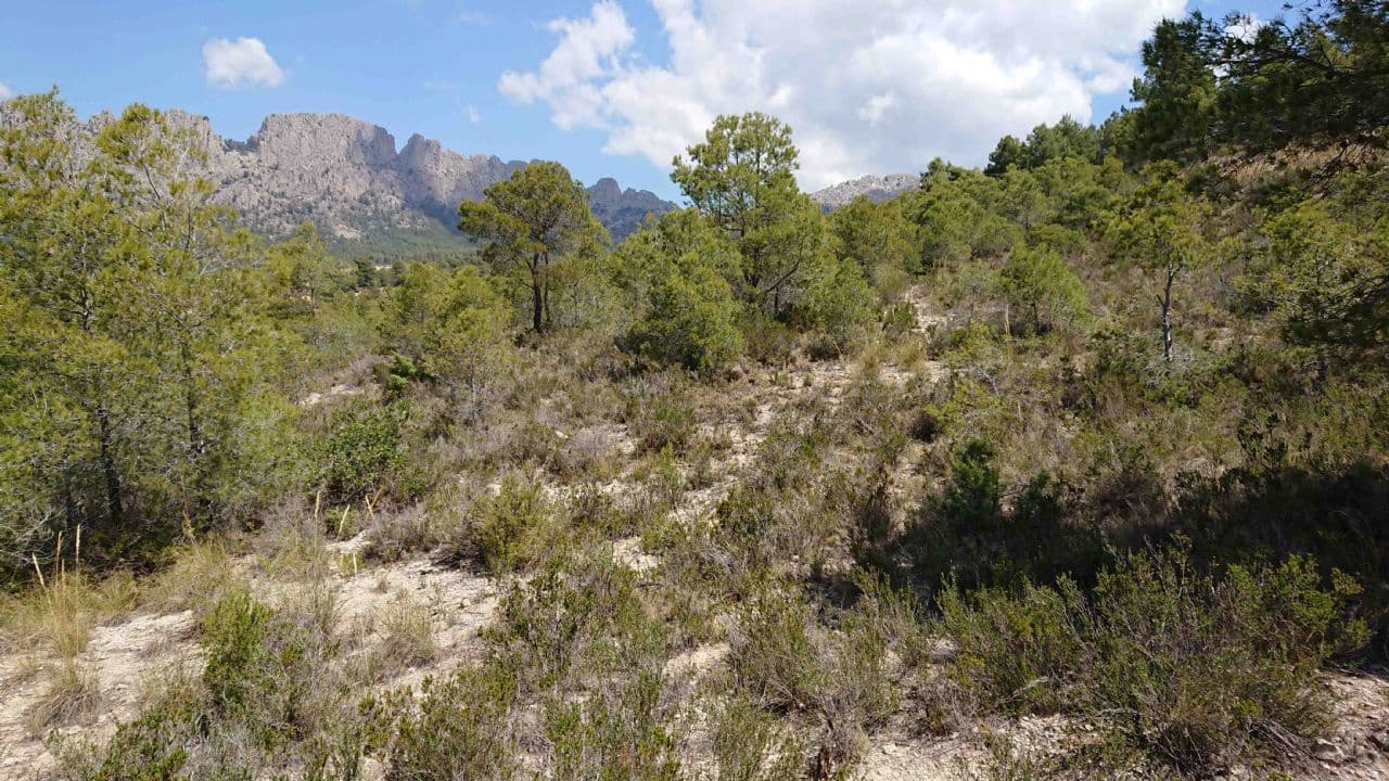 Teren niezagospodarowany na sprzedaż w Finestrat - 99 000 € (Ref: 3988209)